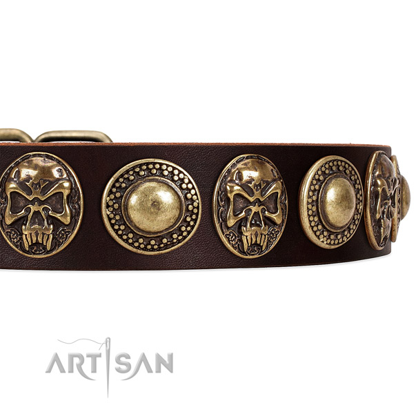 Full grain genuine leather dog collar with embellishments for comfortable wearing