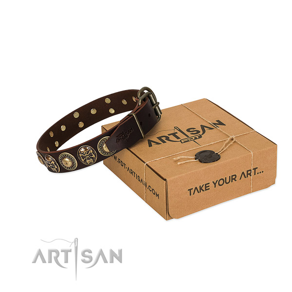 Studded leather dog collar for daily use