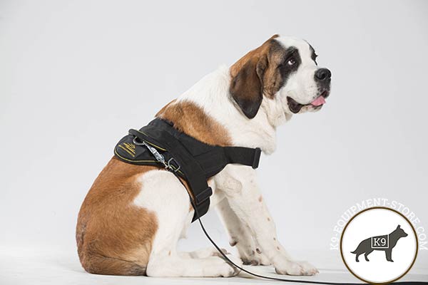 Lightweight design Moscow Watchdog harness