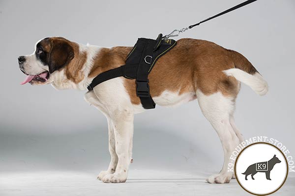 Moscow Watchdog nylon harness with durable fittings for quality control