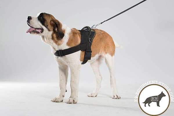 Moscow Watchdog nylon harness of lightweight material with d-ring for leash attachment for daily walks