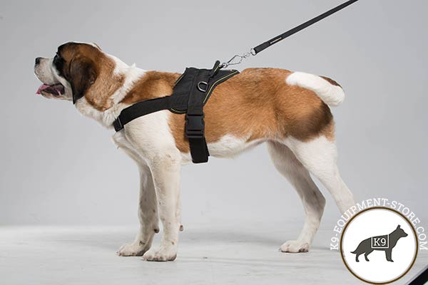 Moscow Watchdog nylon harness of lightweight material with d-ring for leash attachment for perfect control