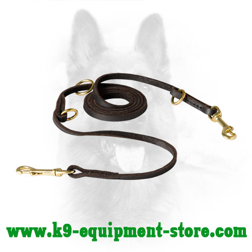 dog leash with hooks on both ends