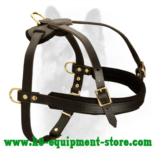Get Leather Dog Harness | Tracking | Pulling | Canine Training
