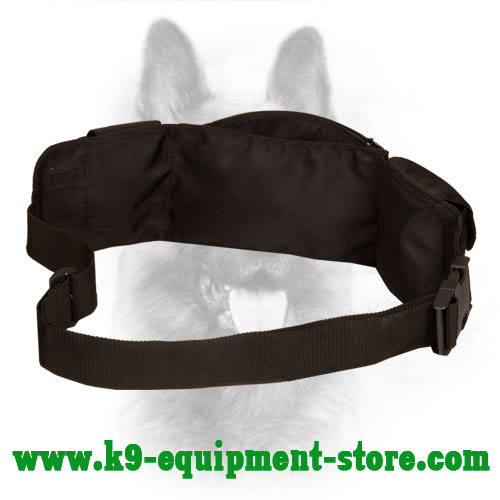 canine equipment treat pouch