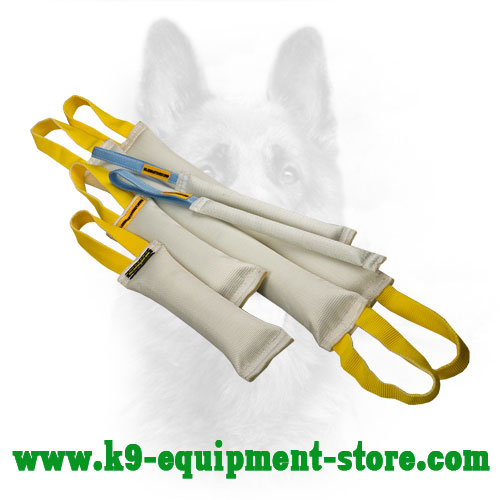 https://www.k9-equipment-store.com/images/large/Police-Dog-Bite-Tug-Set-Fire-Hose-TE69_LRG.jpg