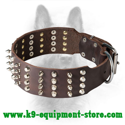 are spiked collars used for training dogs