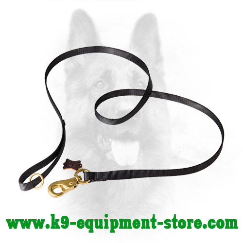 police dog tracking leads