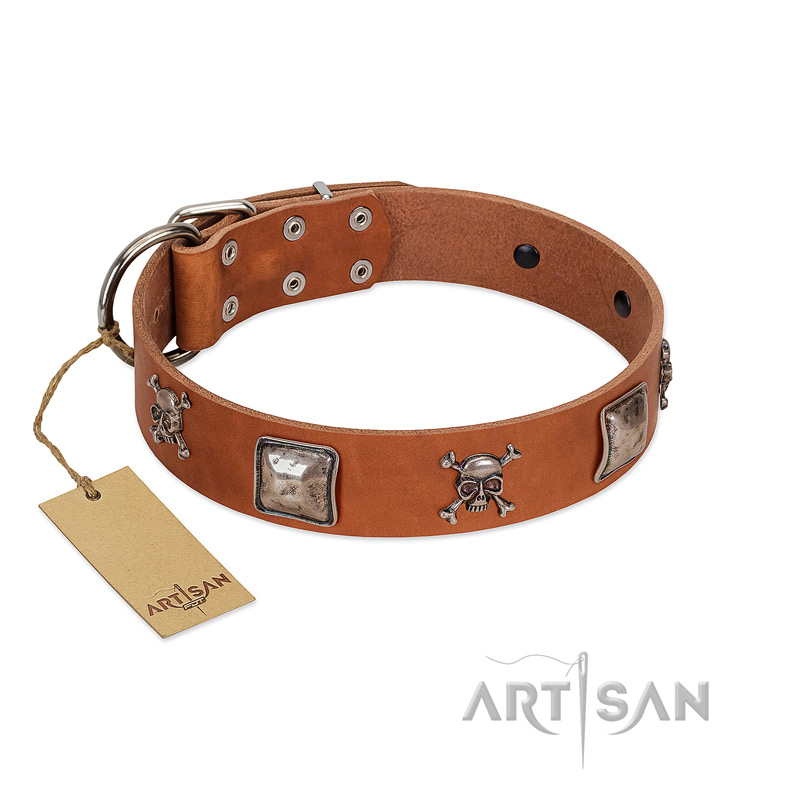 Tan top dog collars