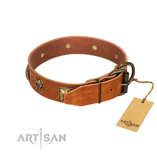 Top notch leather dog collar with strong embellishments