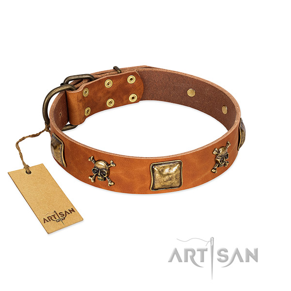 Trendy genuine leather dog collar with corrosion resistant adornments