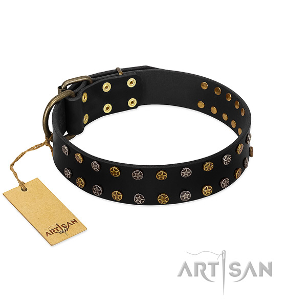 Exceptional full grain leather dog collar with corrosion proof adornments