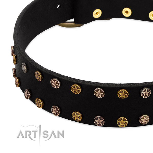 Stylish embellishments on natural leather collar for your doggie