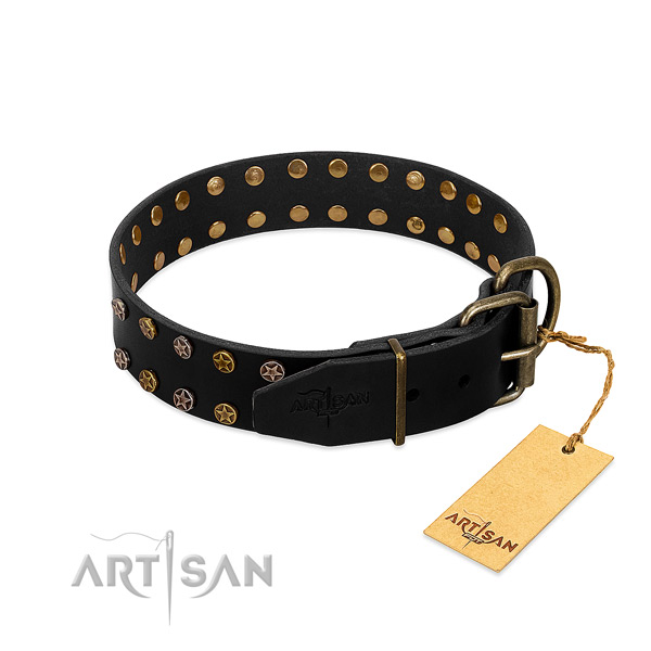 Full grain leather collar with exceptional adornments for your canine