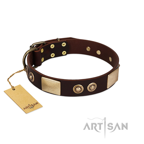 Easy wearing full grain natural leather dog collar for daily walking your pet