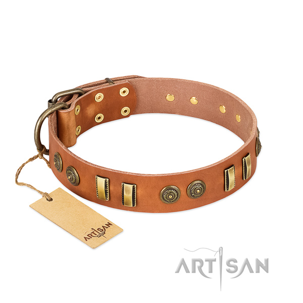 Strong buckle on full grain leather dog collar for your dog