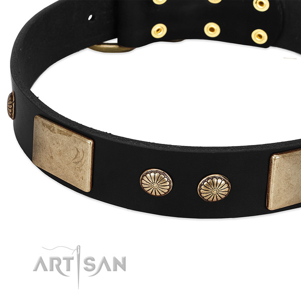 Leather dog collar with adornments for stylish walking