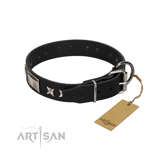 Reliable natural leather dog collar with strong traditional buckle