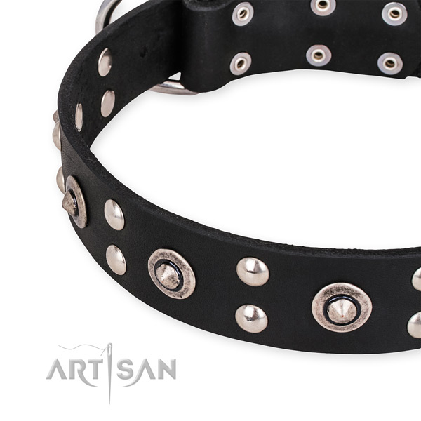 Leather collar with corrosion resistant buckle for your lovely pet