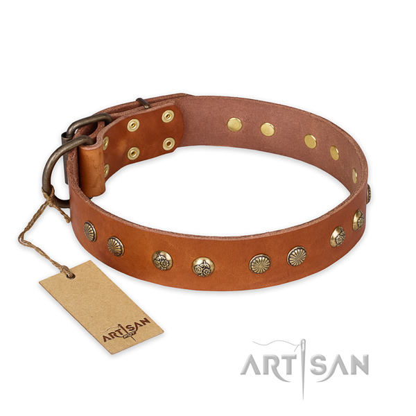 Stylish full grain leather dog collar with rust resistant D-ring