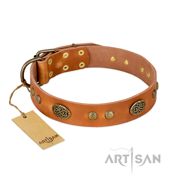 Rust-proof adornments on leather dog collar for your doggie
