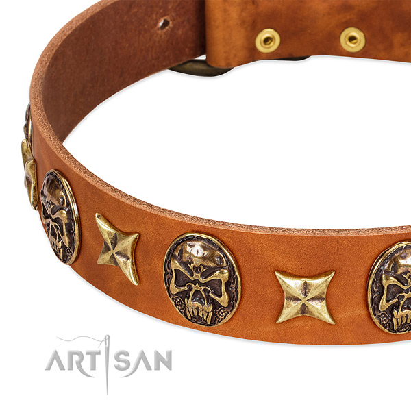 Corrosion proof traditional buckle on natural genuine leather dog collar for your doggie