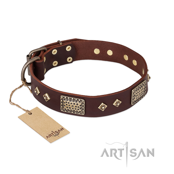 Trendy full grain leather dog collar for daily use