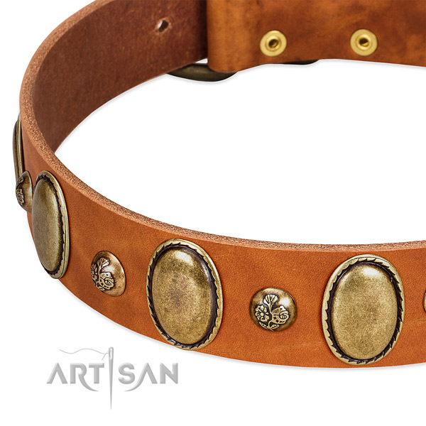 Full grain genuine leather dog collar with significant decorations
