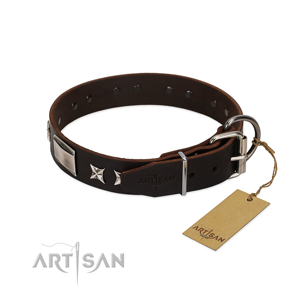 Amazing collar of leather for your handsome dog