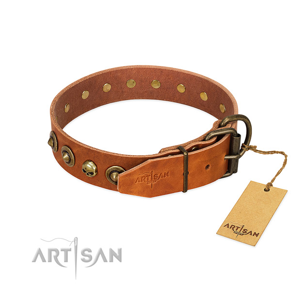 Natural leather collar with trendy adornments for your canine