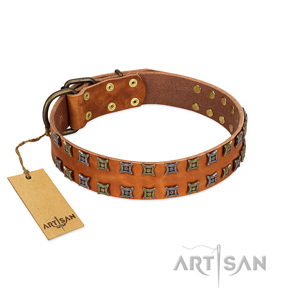 Reliable natural leather dog collar with decorations for your canine