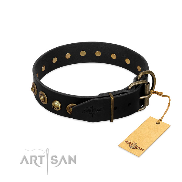 Leather collar with exceptional studs for your canine