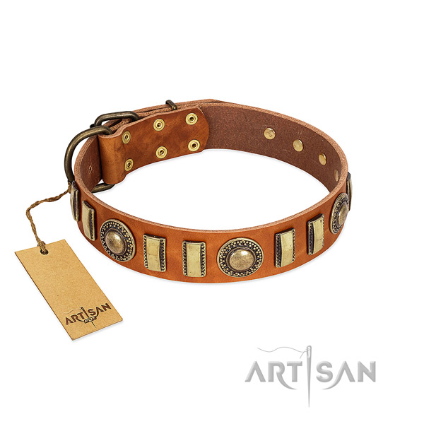 Studded natural leather dog collar with reliable fittings