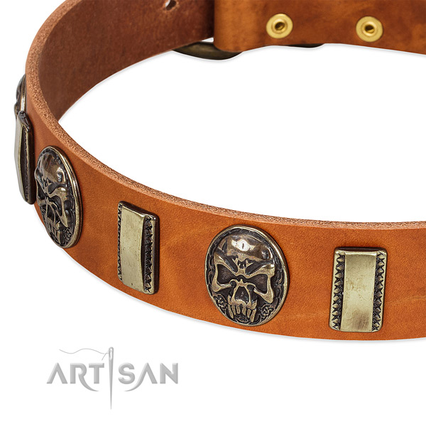 Strong traditional buckle on genuine leather dog collar for your four-legged friend