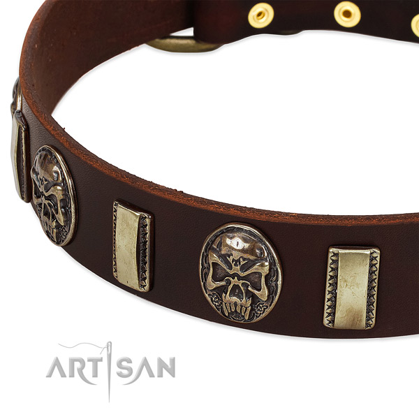 Rust-proof hardware on natural genuine leather dog collar for your pet