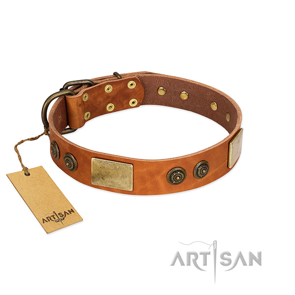 Extraordinary full grain leather dog collar for basic training