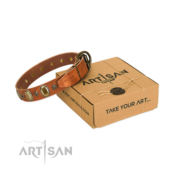 Stylish walking quality full grain genuine leather dog collar with adornments