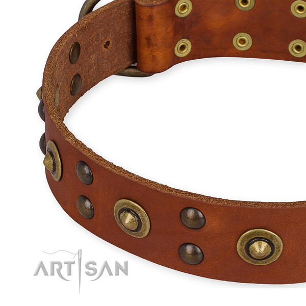 Leather collar with reliable D-ring for your beautiful dog