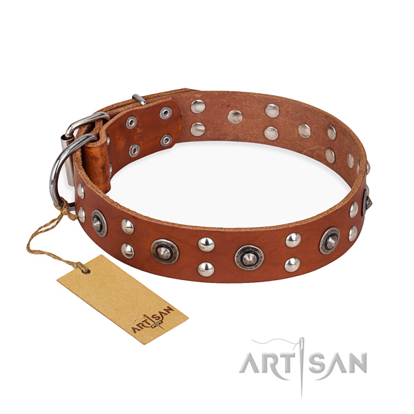 Everyday walking handmade dog collar with rust-proof fittings
