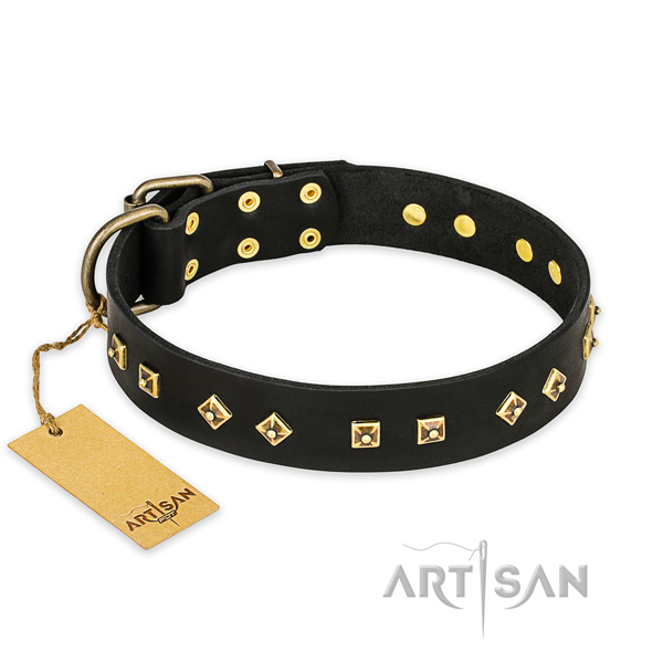 Exceptional genuine leather dog collar with corrosion proof buckle