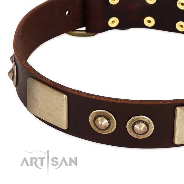 Rust resistant hardware on full grain natural leather dog collar for your pet