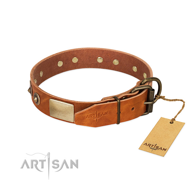 Rust resistant embellishments on basic training dog collar
