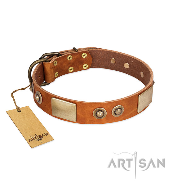 Easy to adjust full grain genuine leather dog collar for walking your four-legged friend