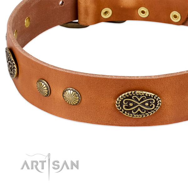 Reliable traditional buckle on Genuine leather dog collar for your four-legged friend