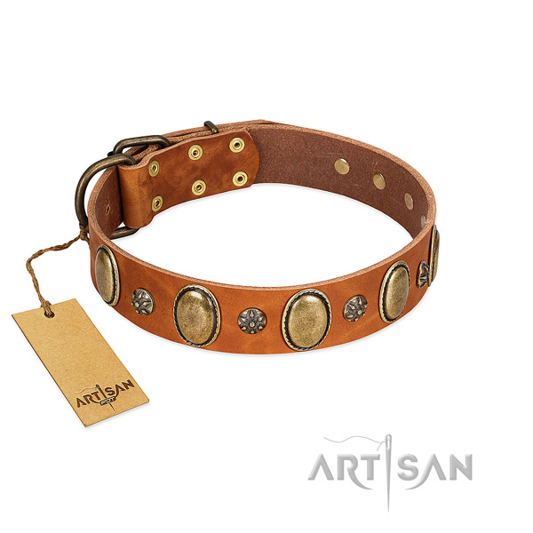 Fancy walking best quality genuine leather dog collar with studs
