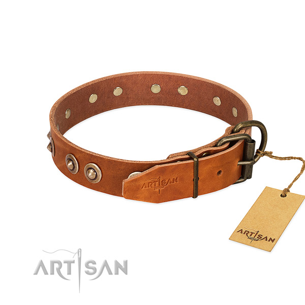 Durable embellishments on leather dog collar for your doggie