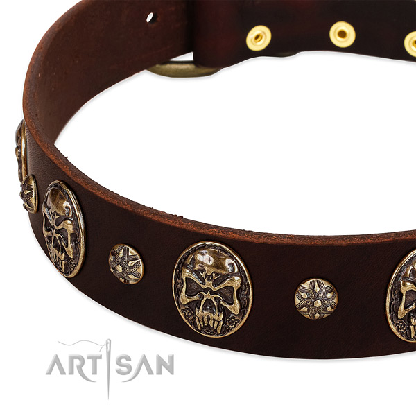 Strong embellishments on full grain natural leather dog collar for your canine