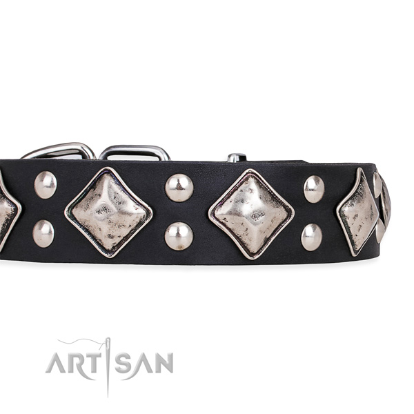 Natural leather dog collar with designer corrosion resistant embellishments