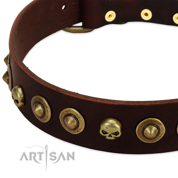 Significant studs on full grain genuine leather collar for your dog