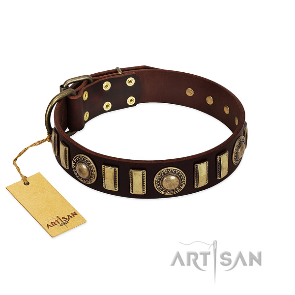 Reliable genuine leather dog collar with rust resistant fittings